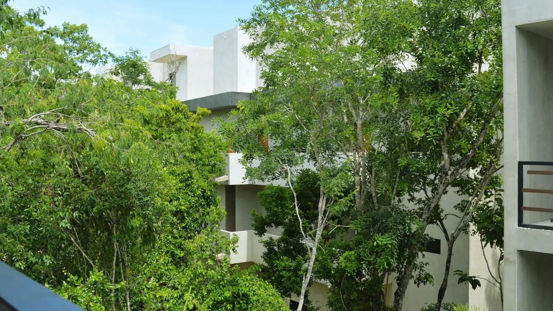 Ferienwohnung Melaan Jungle Retreat For Adventurers And Private Plunge Pool Tulum Mexiko