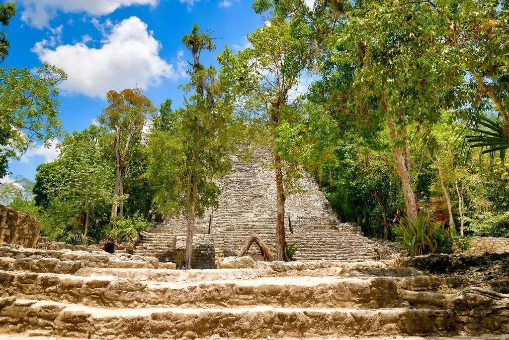 Ferienwohnung Melaan Jungle Retreat For Adventurers And Private Plunge Pool Tulum 0*,
